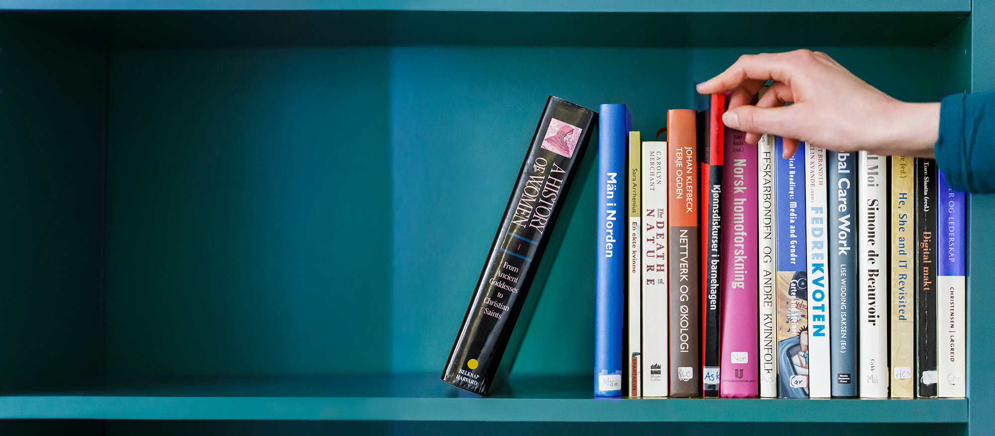 Bokhylle med fagbøker med kjønn som tema (Tomas Gunnarsson)