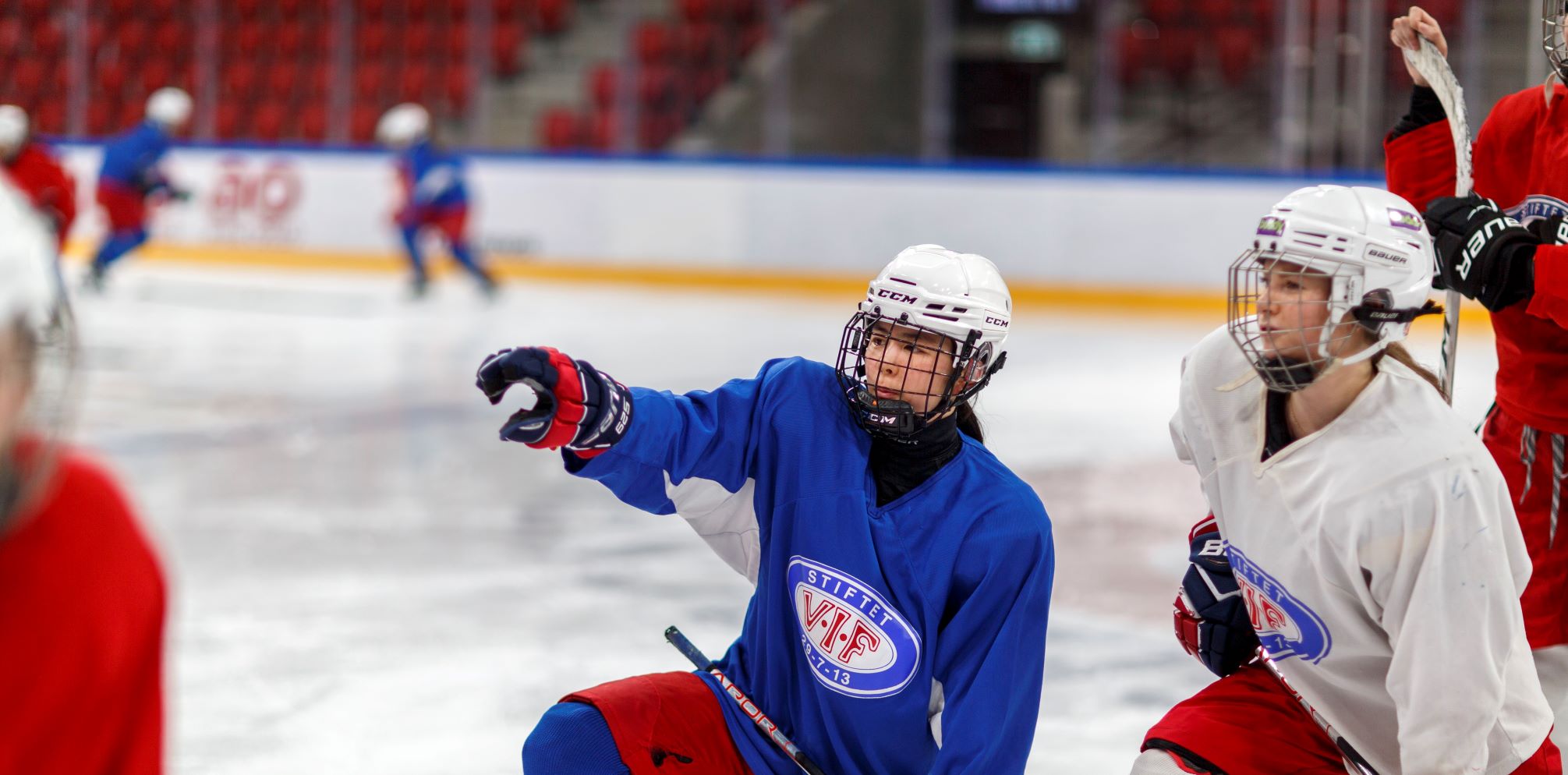 Likestilling hockeyspillere (Tomas Gunnarsson)