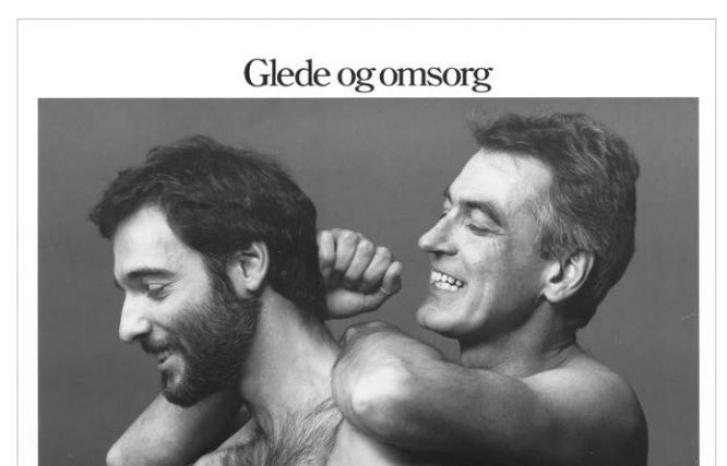 Kampanjefoto av et godmodig homofilt par