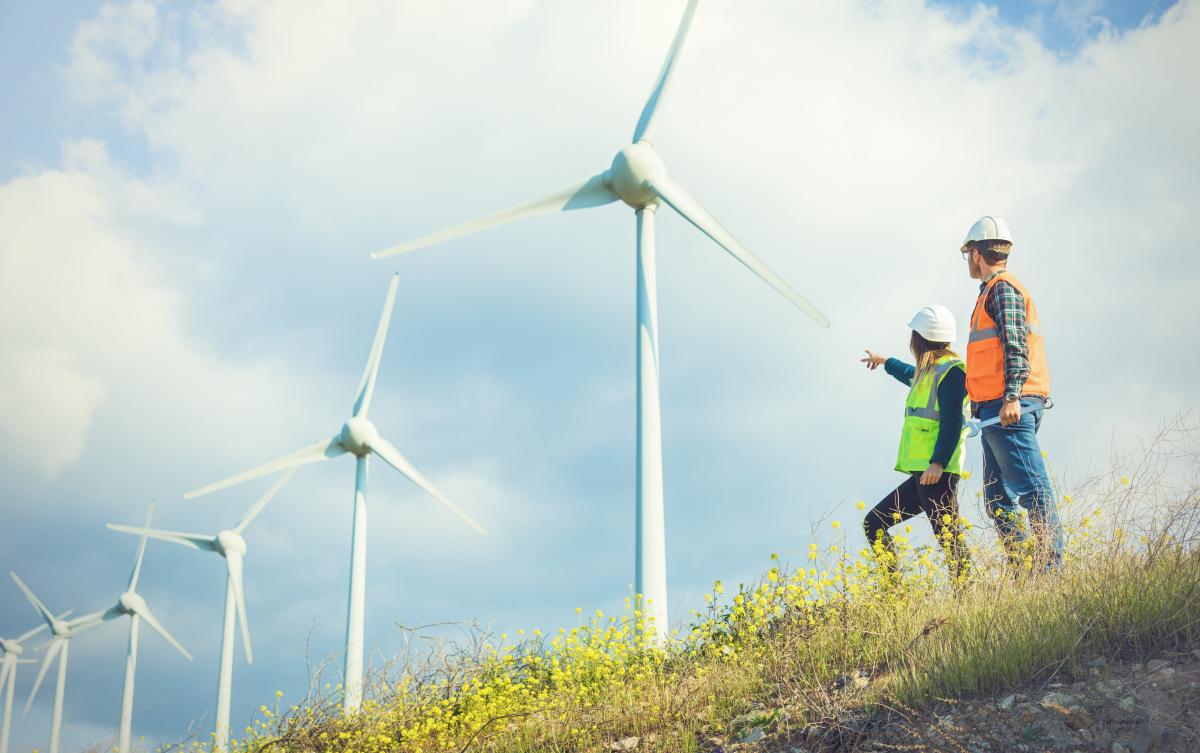 Front page policy brief gender equality and green transition of labour market (iStockphoto)