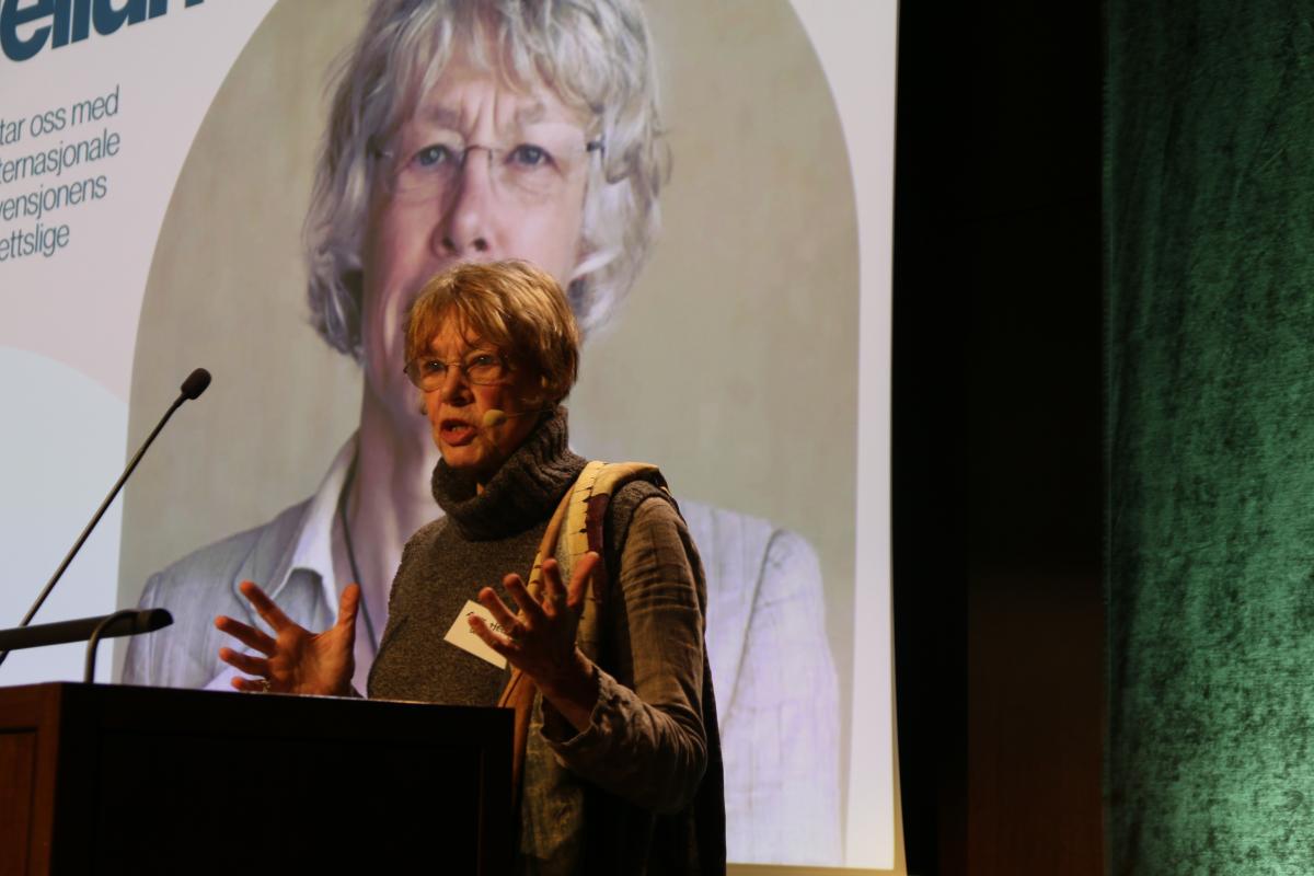 Anne Hellum presenterer sitt innlegg