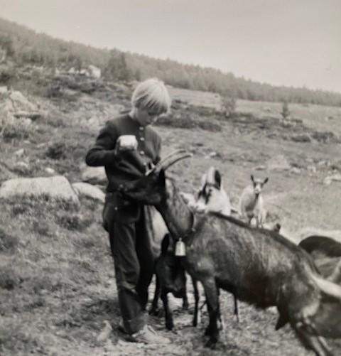 Kari Melby på fjellet som barn omgitt av geiter