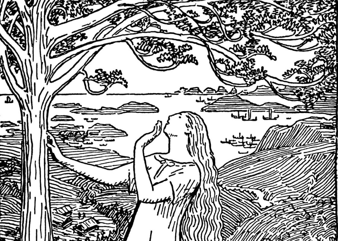 Tegning av en kvinne som ser opp i et tre
