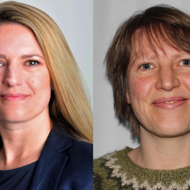 Ann-Torill Tørrisplass og Ingvil Hellstrand Ann-Torill Tørrisplass, første amanuensis ved Nord universitet og Ingvil Hellstrand Universitetet i Stavanger