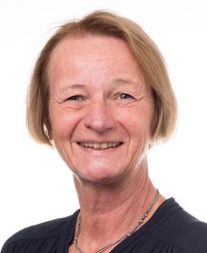 Mari Kristin Sisjord Mari Kristin Sisjord, professor emeritus ved NIH
